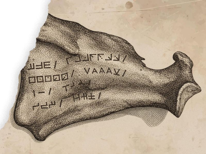 File:Glyph scapula 2.jpg